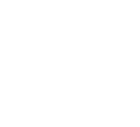 Palo Icon